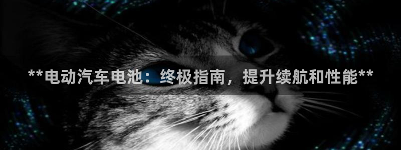 优发国际线上娱官网