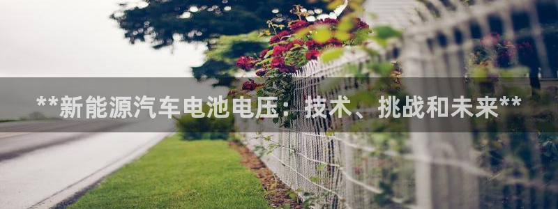 优发国际