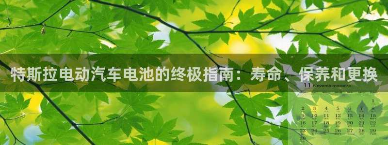 优发国际安卓版下载安装教程