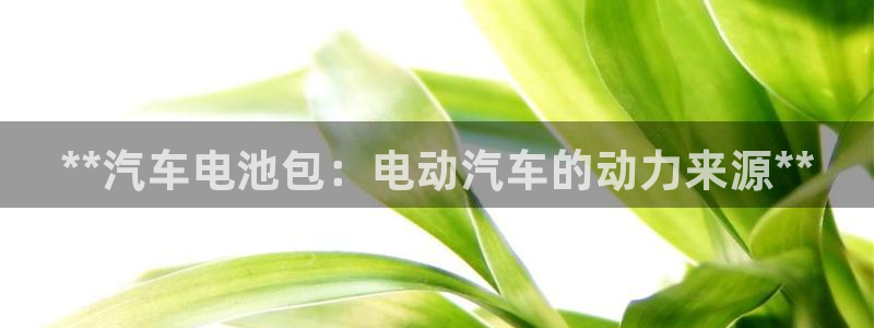优发国际网站官网