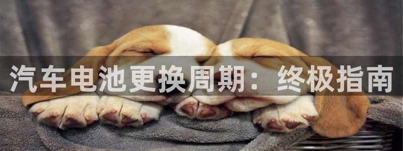 优发国际网官网址是多少