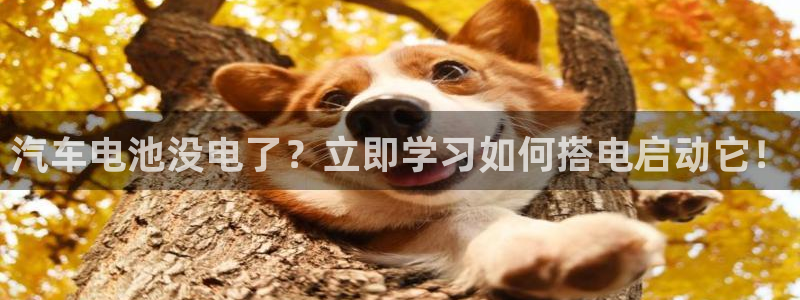 优发国际app