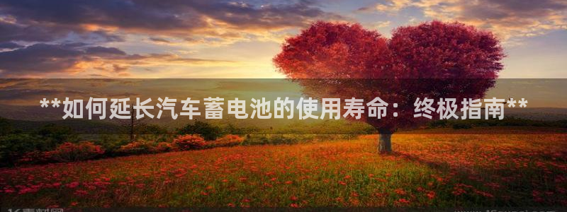 优发国际手机版客户端下载安装