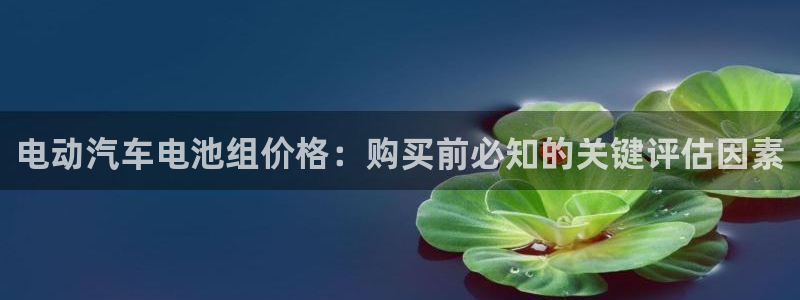 优发国际集团股份有限公司