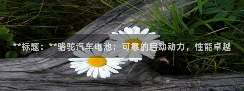 优发国际官网入口app下载安装