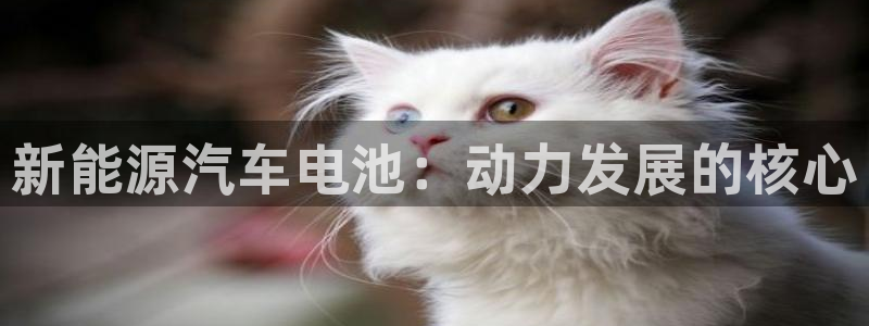 优发娱乐国际线上营业时间