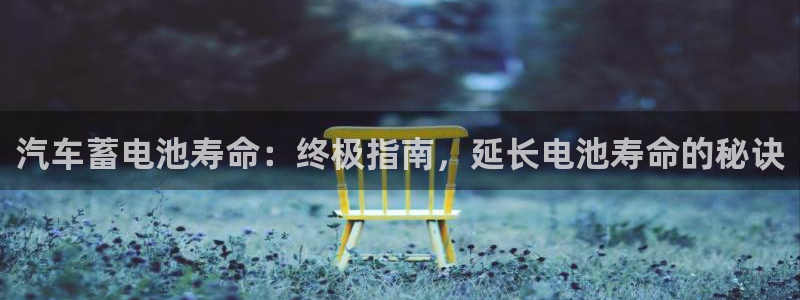 优发国际手机客户端下载安装手机版：汽车蓄电池寿命：终极指南，延长电池寿命的秘诀