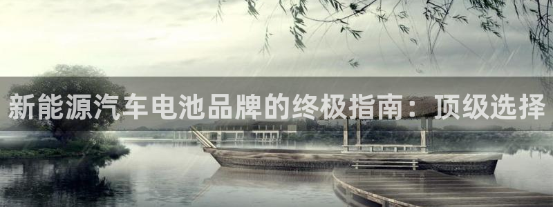 优发国际注册平台是什么：新能源汽车电池品牌的终极指南：顶级选择