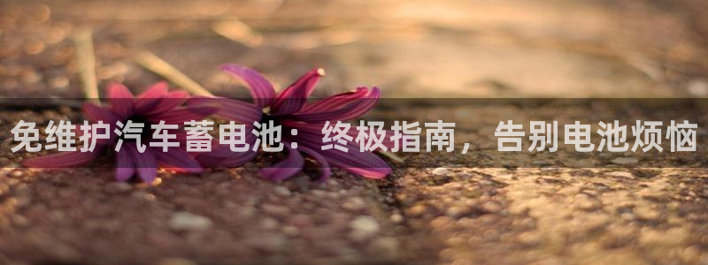 优发国际官方下载app