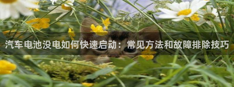 优发国际电话