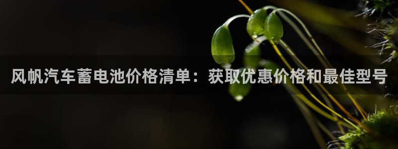 优发国际网站178