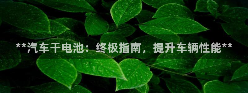 优发国际手机客户端下载安装苹果