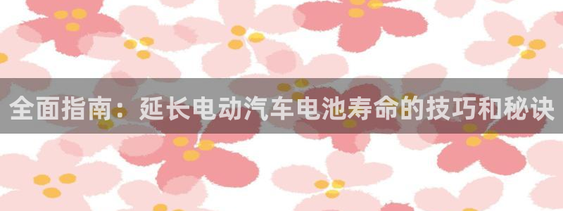 优发国际注册平台：全面指南：延长电动汽车电池寿命的技巧和秘诀