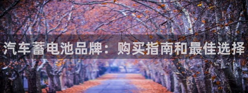 优发国际的官网是