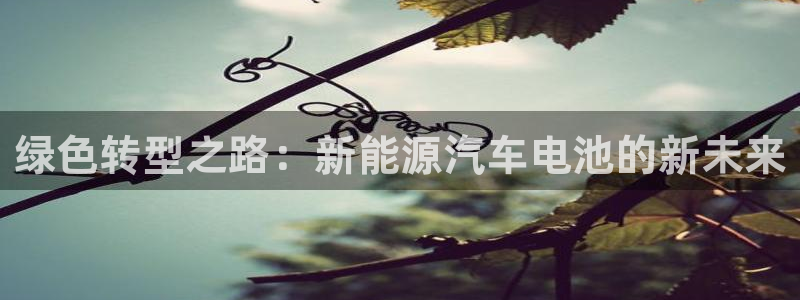优发娱乐pt官网客户端