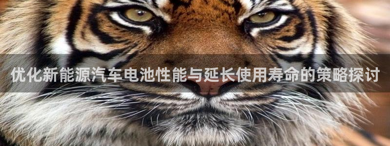 优发国际平台app下载：优化新能源汽车电池性能与延长使用寿命的策略探讨