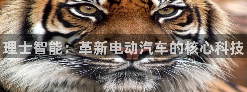 优发国际这个平台怎么样：理士智能：革新电动汽车的核心科技