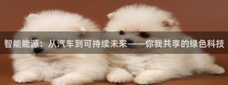 优发国际官网手机号：智能能源：从汽车到可持续未来——你我共享的绿色科技