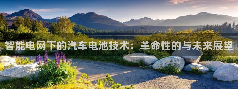 优发国际是合法的吗安全吗：智能电网下的汽车电池技术：革命性的与未来展望