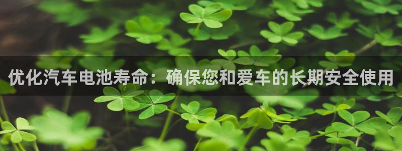 优发国际app官网下载安装苹果：优化汽车电池寿命：确保您和爱车的长期安全使用