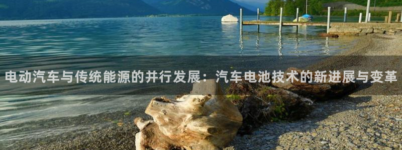 优发国际平台18：电动汽车与传统能源的并行发展：汽车电池技术的新进展与变革
