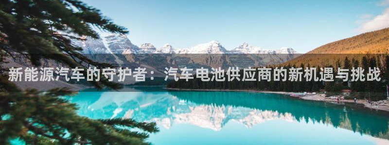 优发娱乐官网app下载：新能源汽车的守护者：汽车电池供应商的新机遇与挑战
