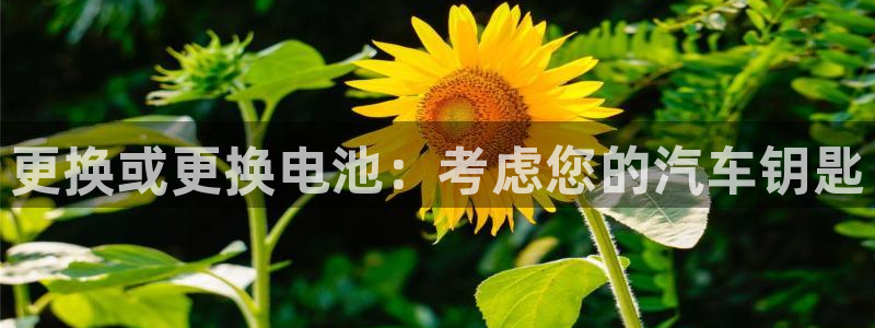 优发国际合并到哪里了最新消息：更换或更换电池：考虑您的汽车钥匙