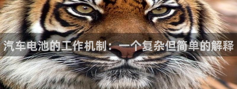 优发国际平台app下载：汽车电池的工作机制：一个复杂但简单的解释