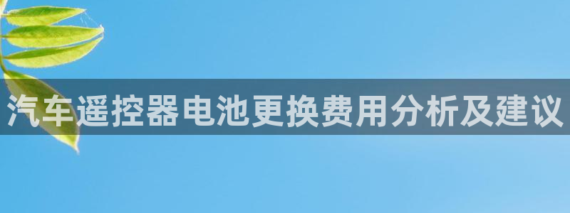 优发国际游戏官方网站：汽车遥控器电池更换