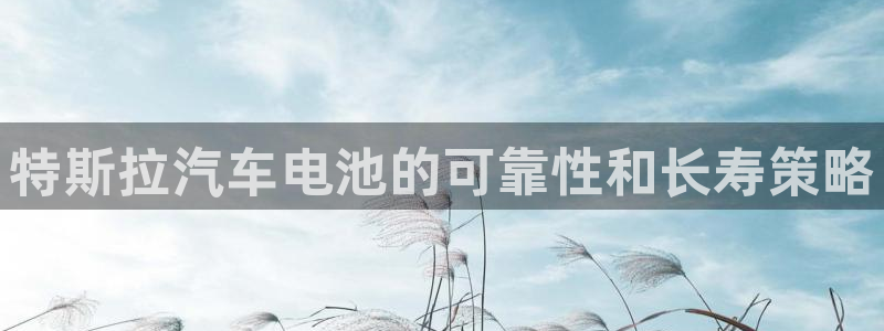 优发国际一首页：特斯拉汽车电池的可靠性和长寿策略
