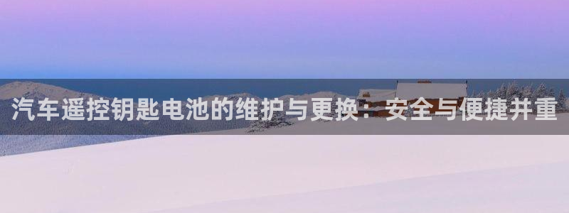 优发国际官方网：汽车遥控钥匙电池的维护与更换：安全与便捷并重