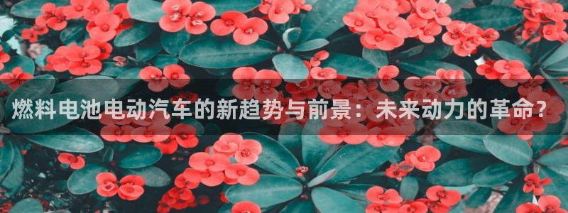 优发国际集团股份有限公司：燃料电池电动汽车的新趋势与前景：未来动力的革命？