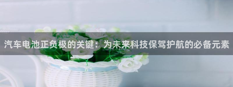 优发国际线上娱官网：汽车电池正负极的关键