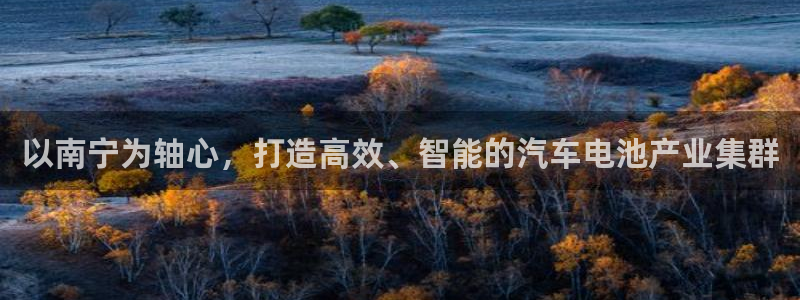 优发国际手机版下载安装：以南宁为轴心，打造高效、智能的汽车电池产业集群