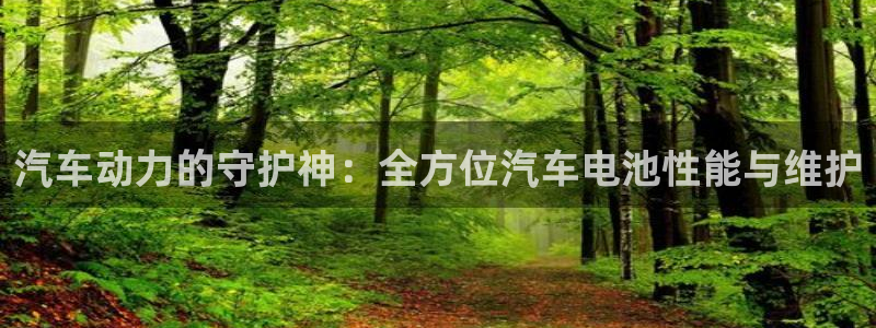 优发国际官网手机版下载安卓