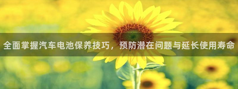 优发国际电话