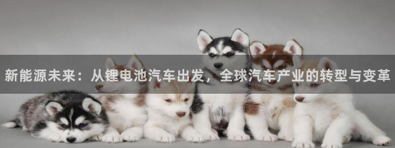 优发国际手机客户端下载安装不了