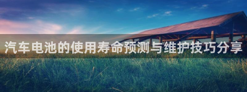 优发国际手机客户端下载安装不了：汽车电池的使用寿命预测与维护技巧分享