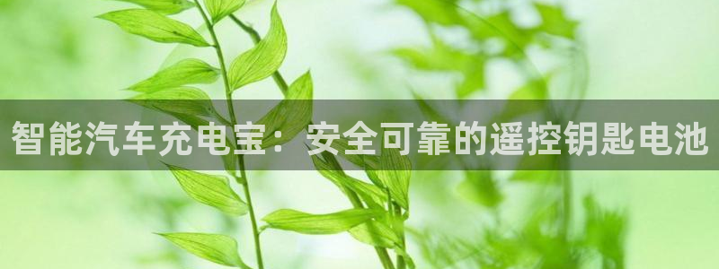 优发国际的官网是什么软件：智能汽车充电宝：安全可靠的遥控钥匙电池