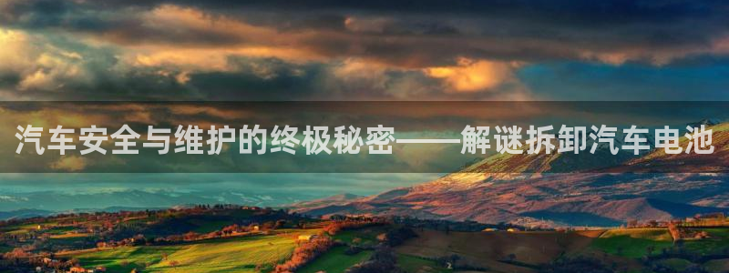 优发国际安卓版下载安装最新版：汽车安全与维护的终极秘密——解谜拆卸汽车电池
