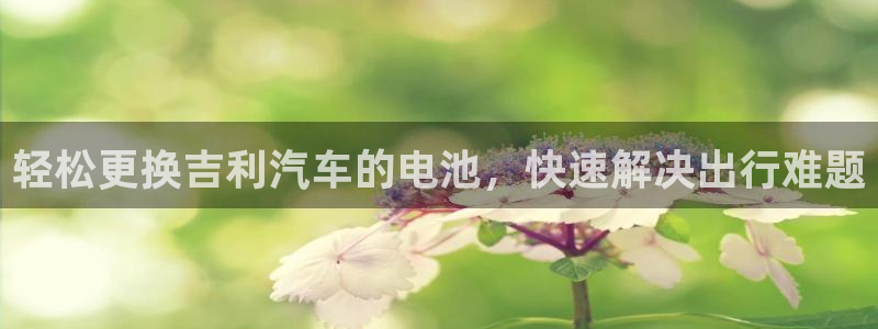 优发国际手机版官网下载：轻松更换吉利汽车的电池，快速解决出行难题