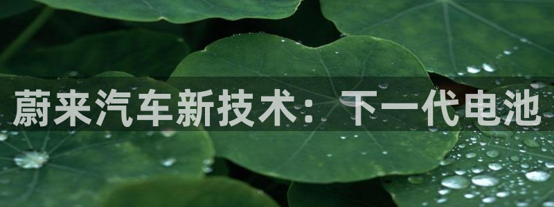 优发国际登陆