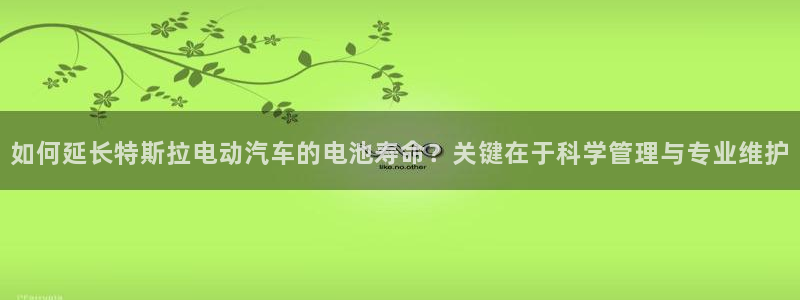 优发国际官网值是多少：如何延长特斯拉电动汽车的电池寿命？关键在于科学管理与专业维护
