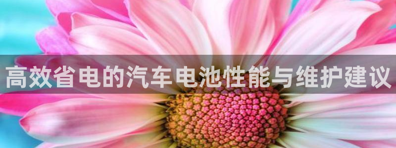 优发国际官网手机版app