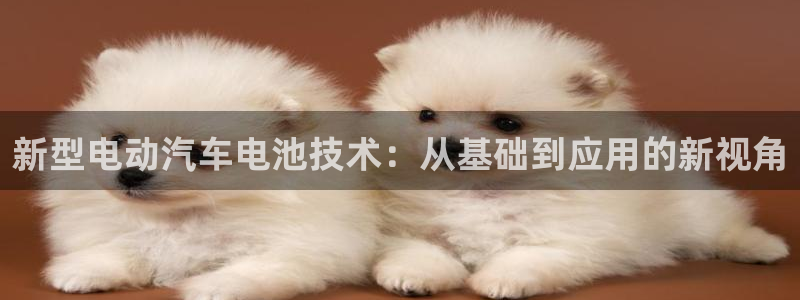 优发国际注册平台是什么：新型电动汽车电池技术：从基础到应用的新视角