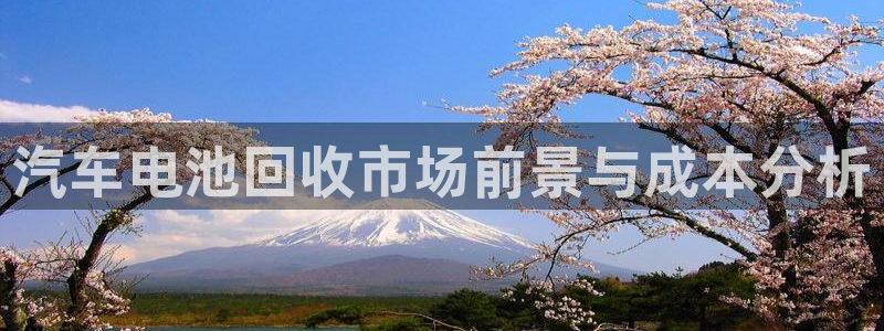 优发国际vip网址：汽车电池回收市场前景与成本分析