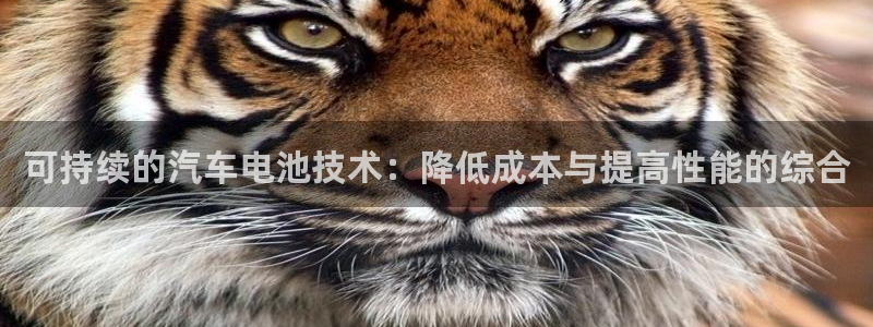 优发国际登录：可持续的汽车电池技术：降低成本与提高性能的综合