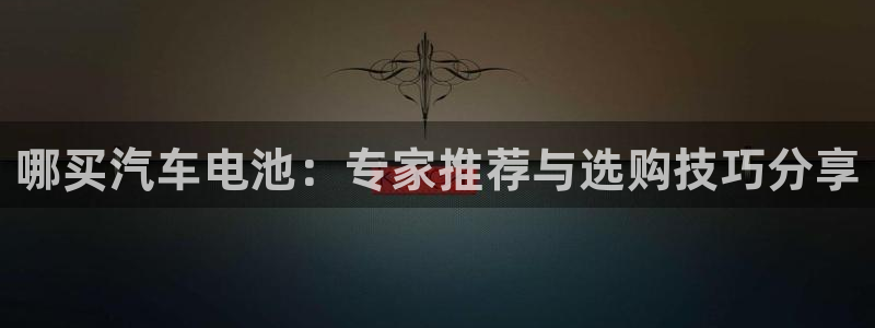 优发国际官网登录：哪买汽车电池：专家推荐与选购技巧分享