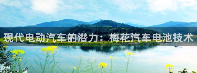 优发国际合并到哪里了：现代电动汽车的潜力：梅花汽车电池技术