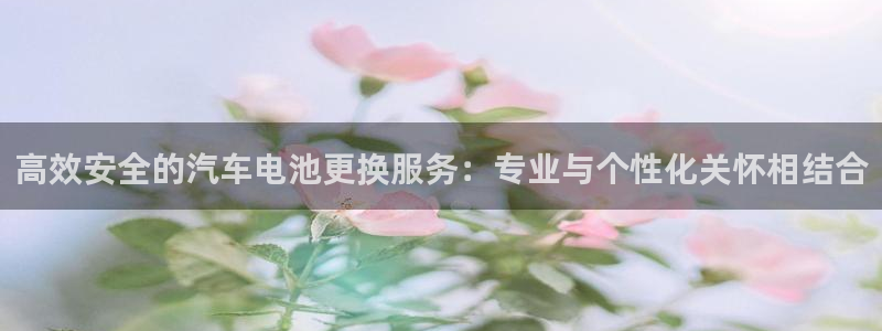 优发国际官网入口app下载：高效安全的汽车电池更换服务：专业与个性化关怀相结合